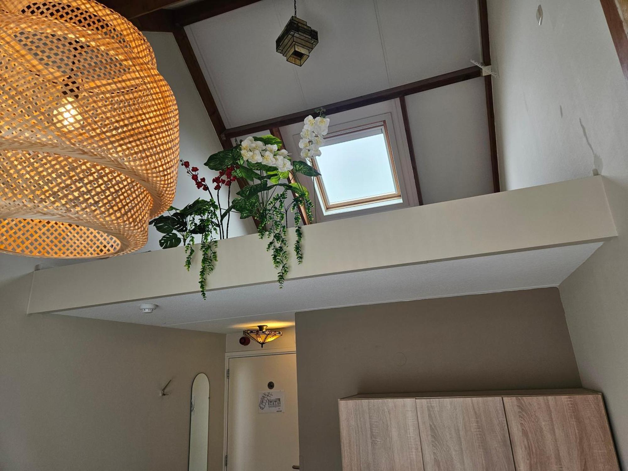 Hotel Dolores Ameland Нес Екстериор снимка