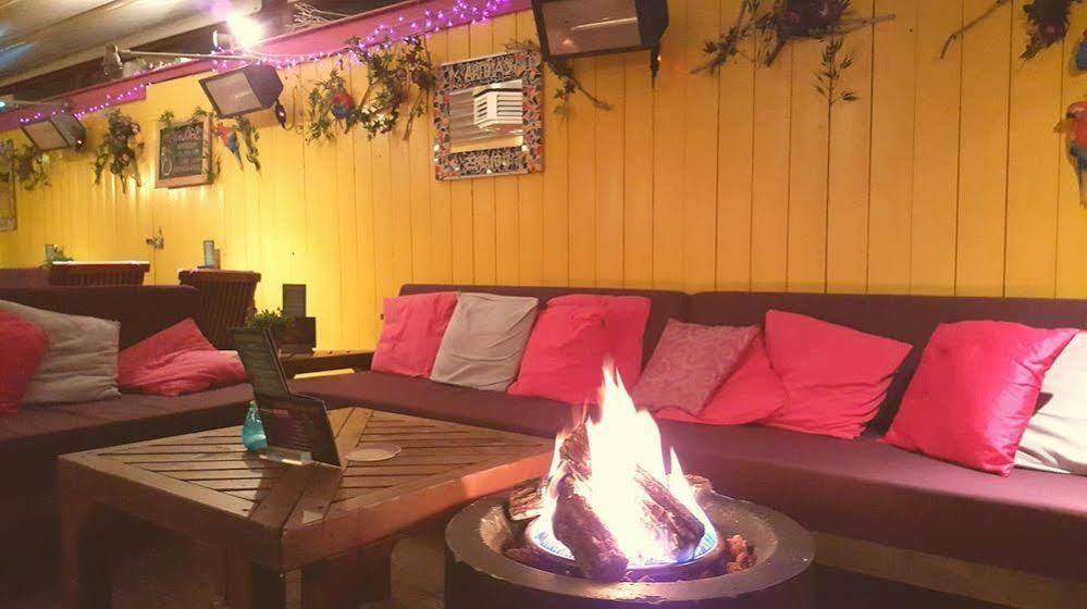 Hotel Dolores Ameland Нес Екстериор снимка